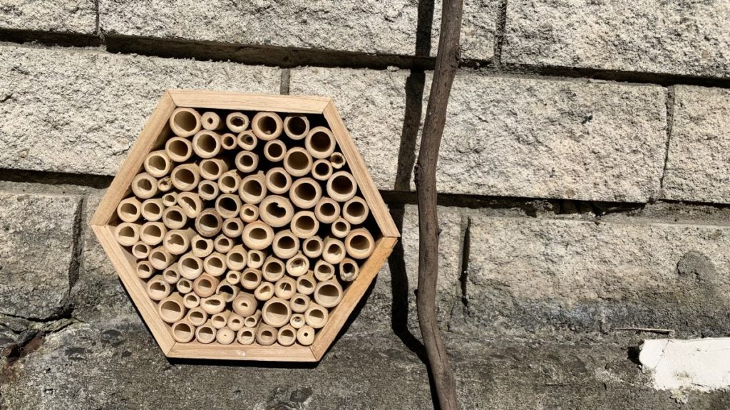 Bamboo insect hotel 8 feet off the ground by a wall.