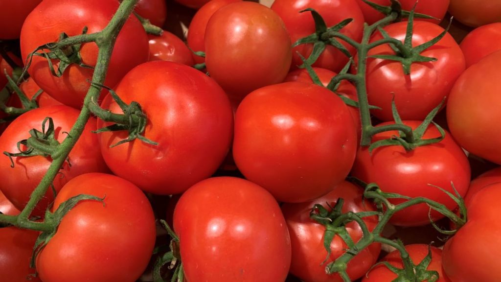 Pot size for tomatoes | 5 to 20 Gallons