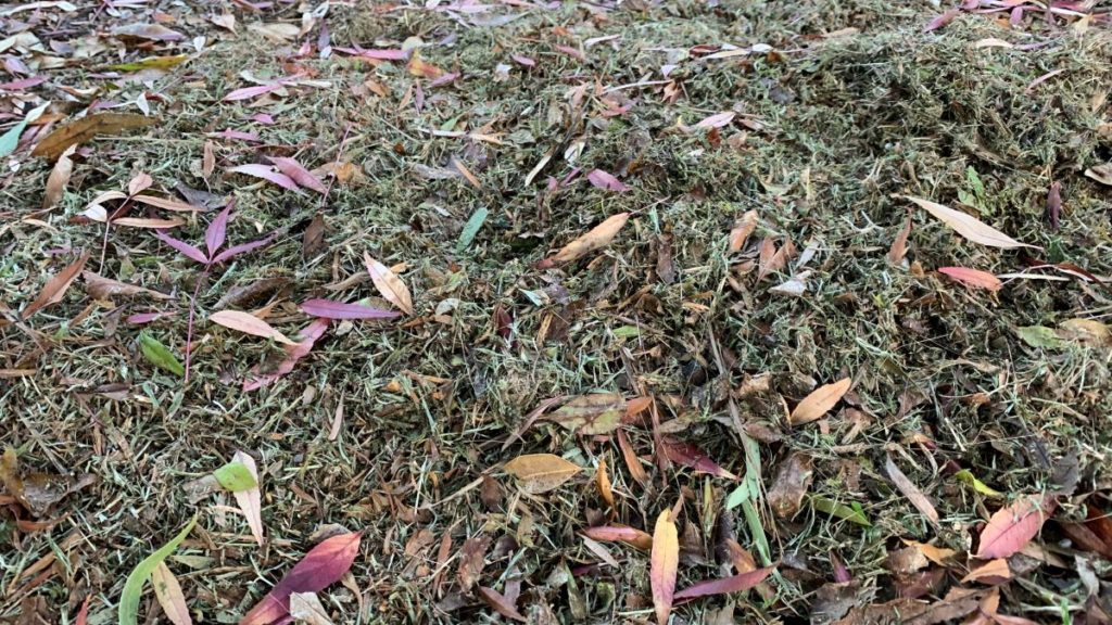 lawn clippings make great hot compost