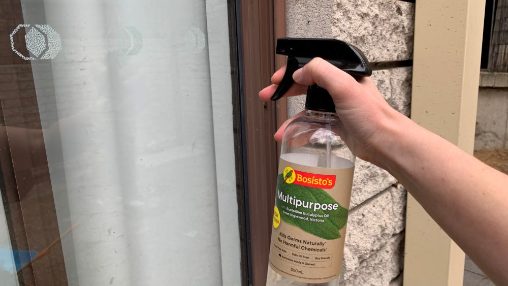 Spray eucalyptus oil around front door