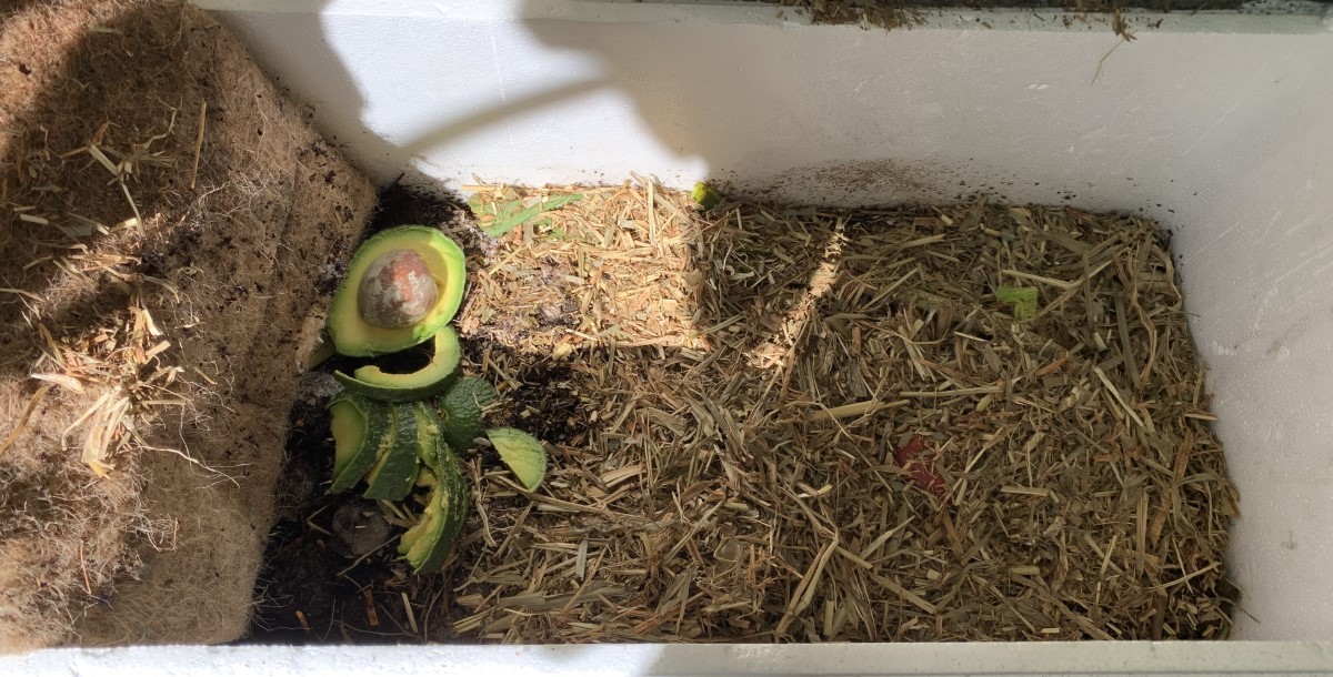 Does mulch turn into compost? Should you use a compost bin for mulch