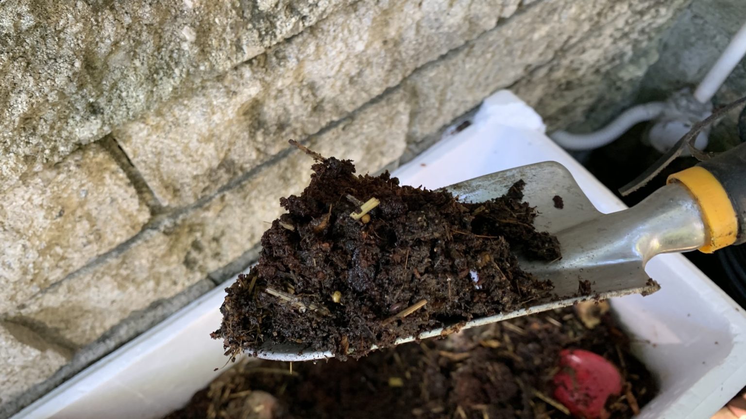 My worm bin is too wet! How to dry it out Eco Family Life