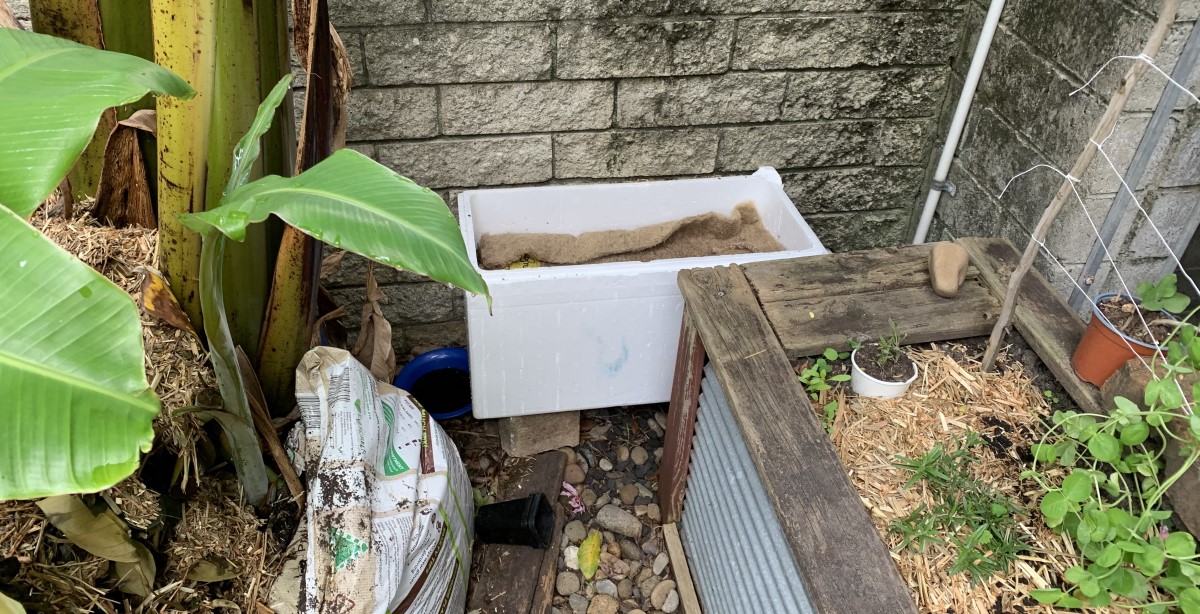 Can I keep my worm bin outside? Best place to put a worm bin 6 Easy