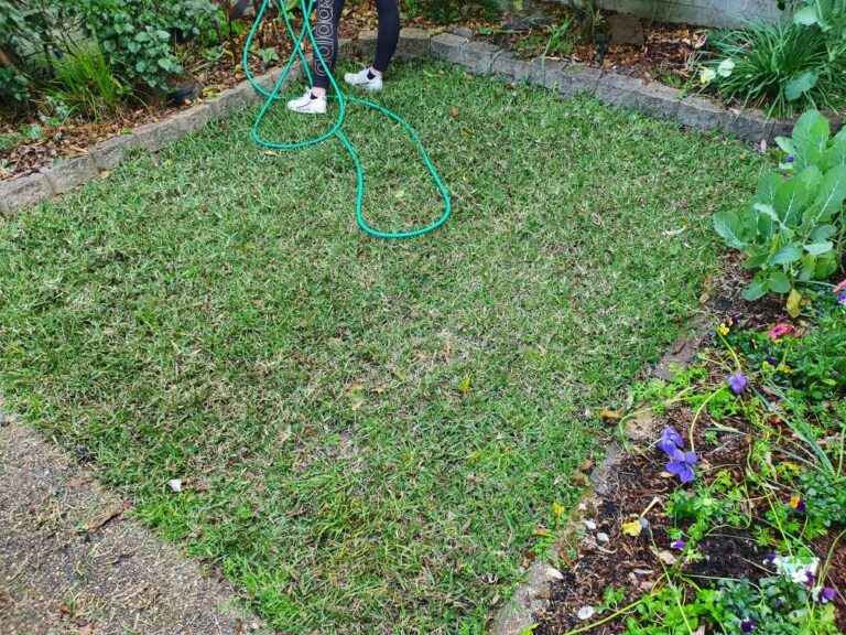 Do Slugs Eat Grass? 7 Natural Ways to Protect Your Lawn Eco Family Life