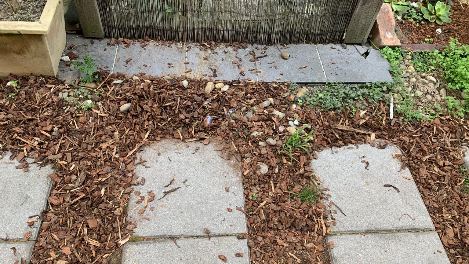 Mulch vs Rocks Around the House 16 Pros and Cons Eco Family Life