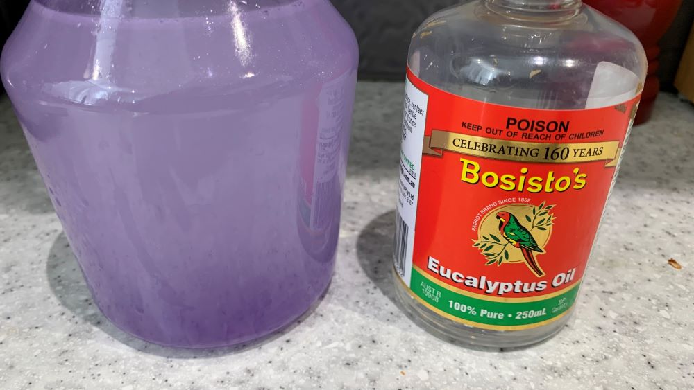 Eucalyptus oil mixed into a spray bottle