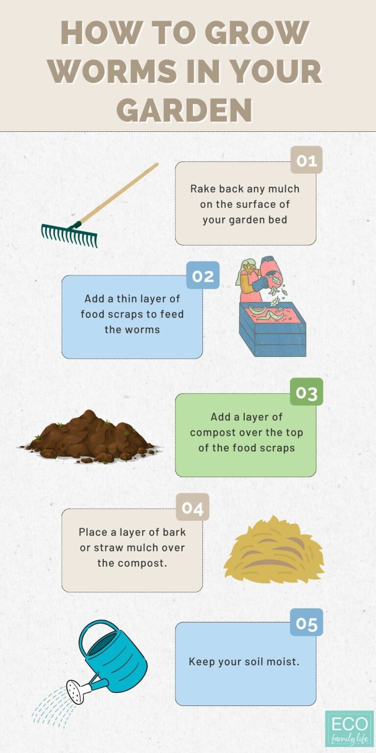 How to Grow Worms in Your Garden 5 Easy Steps Eco Family Life