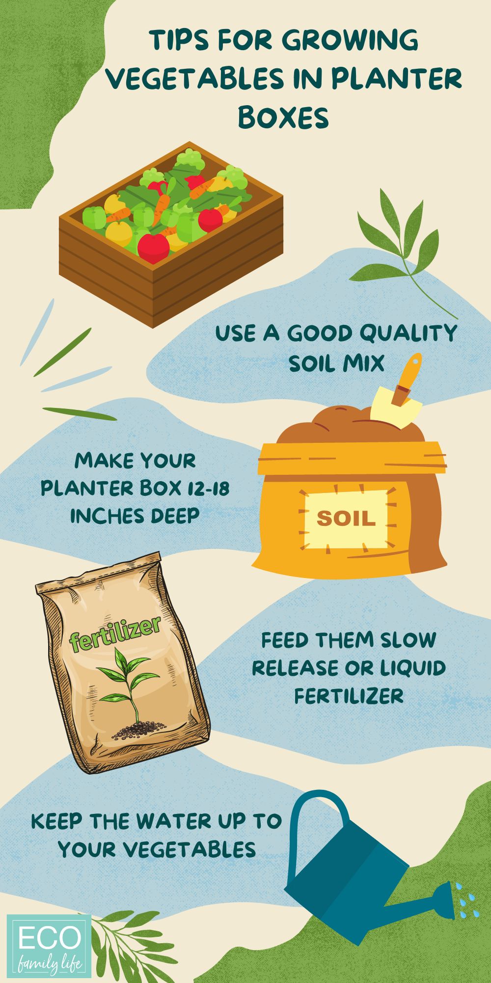 Infographic: tips for growing vegetables in planter boxes