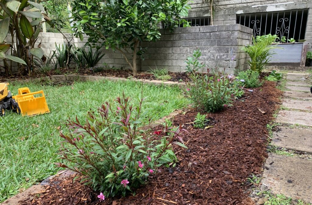 Garden bed with bark mulch which has been watered in.