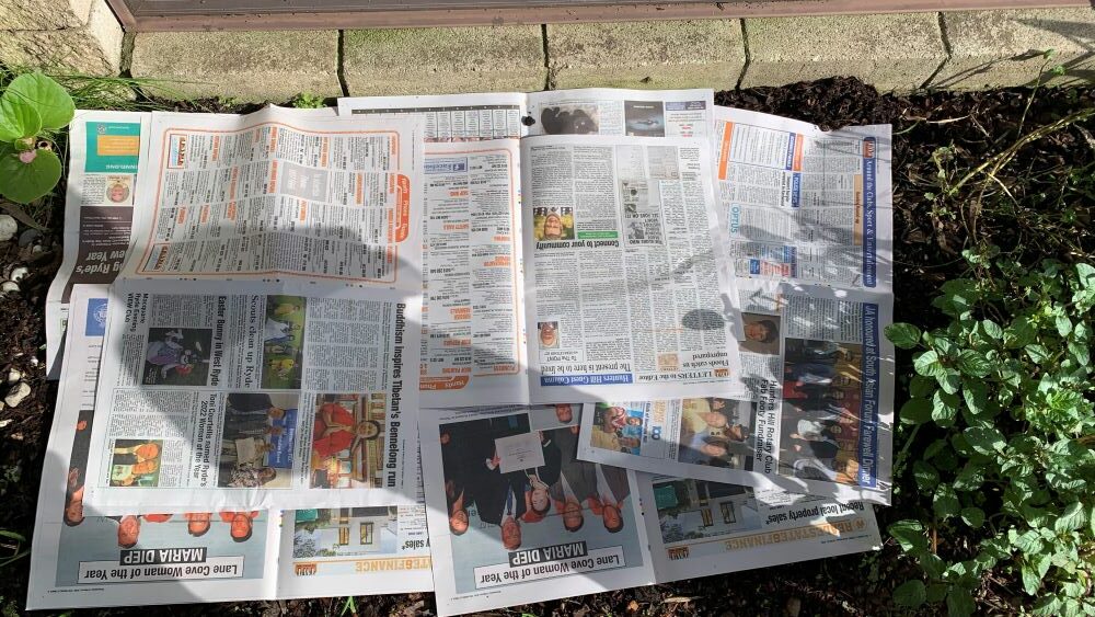Newspaper laid on garden bed ready to be covered with mulch.
