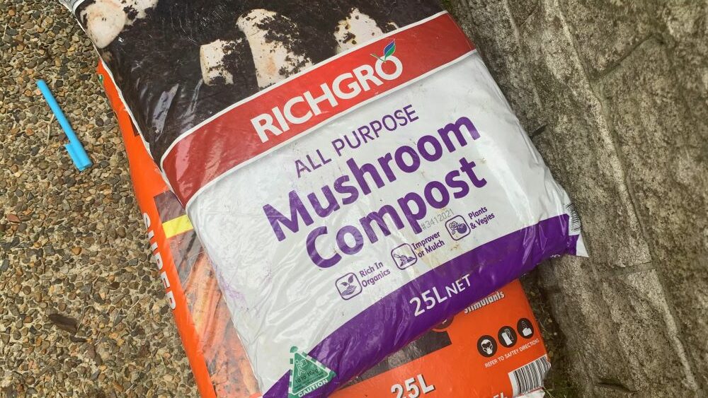 Mushroom compost to be mixed with regular compost to form a new, no dig garden bed.