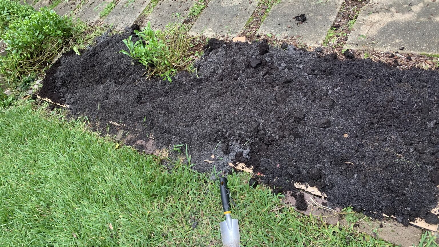 Mulching with Cardboard Ultimate Beginners Guide Eco Family Life